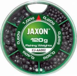  Jaxon Ciężarki okrągłe Jaxon 120g (0,2g-1g) cj-aa002