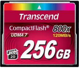 Karta Transcend 800x Compact Flash 256 GB  (TS256GCF800)