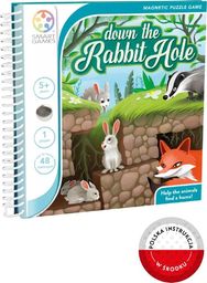  Iuvi Smart Games Down: The Rabbit Hole (ENG)  