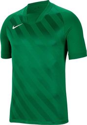  Nike Koszulka męska Challenge III zielona r. S (BV6703-302)