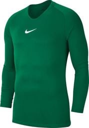  Nike Koszulka męska Dry Park First Layer zielona r. L (AV2609-302)