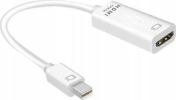 Adapter AV Pawonik DisplayPort Mini - HDMI biały (JL-MD1001K)
