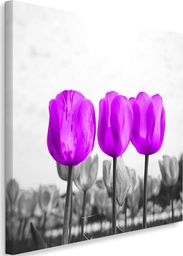  Feeby Obraz na płótnie - Canvas, Fioletowe tulipany 40x40