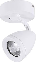 Lampa sufitowa Azzardo Spot sufitowy biały AZzardo ALBICO AZ1241