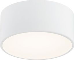 Lampa sufitowa Argon Plafon szklany biały Argon Vichy 3885