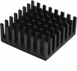 Raspberry Pi Chłodzenie Raspberry Pi (HTS011)