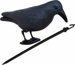  Springos Odstraszacz ptaków 11x39x18,5cm stojący kruk granatowo-czarny UNIWERSALNY