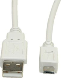 Kabel USB RBLINE USB-A - 0.8 m Szary