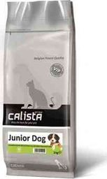  Lincoln Calista Junior Dog 12 kg