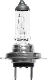 Hoalte Hoalte Basic H7 24V 70W PX26d uniwersalny