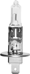 Hoalte Hoalte Basic H1 24V 70W P14.5s uniwersalny
