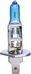 Hoalte H1 12V 55W P14.5S HOALTE SUPER WHITE 1szt uniwersalny