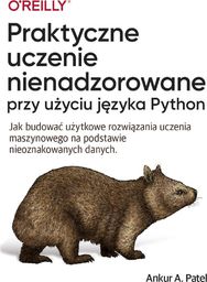 APN PROMISE Praktyczne uczenie nienadzorowane przy użyciu języ