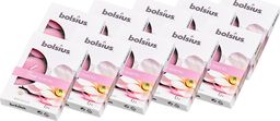 Bolsius Podgrzewacze zapachowe BOLSIUS True Scents 4H 60szt. MAGNOLIA