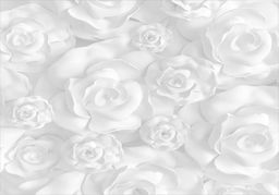  DecoNest Fototapeta - Gipsowe kwiaty - 250X175