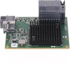 Lenovo Karta rozszerzeń Fiber Channel Flex System FC3052 (1)