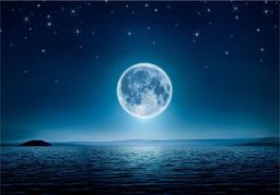  DecoNest Fototapeta - Księżycowa noc - 350X245