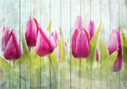  DecoNest Fototapeta - Tulipany na białym drewnie - 350X245