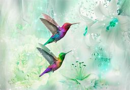  DecoNest Fototapeta - Kolorowe kolibry (zielony) - 300X210