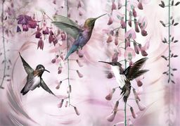  DecoNest Fototapeta - Latające kolibry (różowy) - 350X245