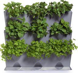  Minigarden Minigarden Vertical szary - zielnik, modułowy ogród domowy, zielona ściana