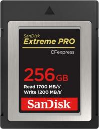 Karta SanDisk Extreme PRO CFexpress 256 GB  (SDCFE-256G-GN4NN)