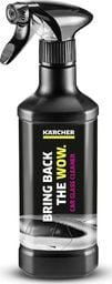  Karcher Środek do czyszczenia Karcher RM650 6.296-1