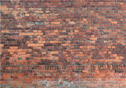  DecoNest Fototapeta - Vintage Wall (Red Brick) - 200X140