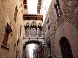  DecoNest Fototapeta - Barcelona Palau generalitat in gothic Barrio - 350X270