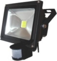 Vexin Reflektor Z Matrycą Led/Pir 10 Hm-G7010W