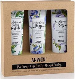 Anwen Anwen - Zestaw Wegański 3 Odżywek do porowatości średniej - 3x 300 ml uniwersalny