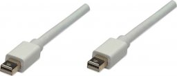 Kabel Manhattan DisplayPort Mini - DisplayPort Mini 1m biały (324557)
