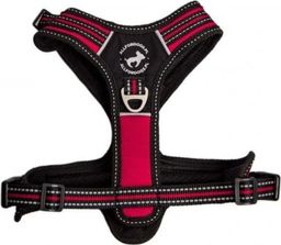 All For Dogs ALL FOR DOGS SZELKI 3x-SPORT CZERW. L