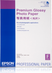 Epson (C13S042091)