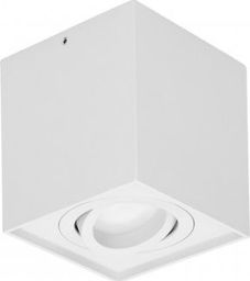 Lampa sufitowa Orno CAROLIN DLS GU10 downlight max 35W, IP20, kwadrat, biały