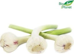 ŚWIEŻE CZOSNEK ŚWIEŻY BIO (POLSKA) (około 75 g)