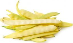 ŚWIEŻE OPAKOWANIE ZBIORCZE (kg) - FASOLKA SZPARAGOWA ŚWIEŻA BIO (około 5 kg)