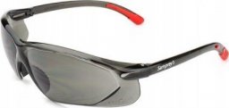 AVACORE Okulary ochronne SAMPREYS SA 520G szybki przyciemniane