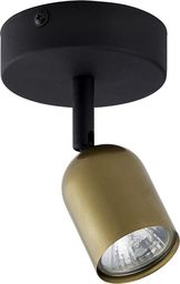 Lampa sufitowa TK Lighting Spot natynkowy metalowy TK Lighting TOP 3301