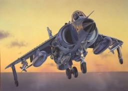  Italeri FRS.1 Sea Harrier - 1236