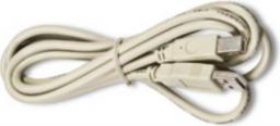 Kabel USB Intermec USB-A - USB-B 2 m Szary (321-576-004)