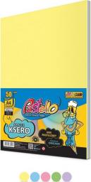 Pastello Papier ksero A4 160g mix kolorów 50 arkuszy