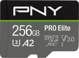 Karta PNY PRO Elite MicroSDXC 256 GB Class 10 UHS-I/U3 A2 V30 (P-SDU256V32100PRO-GE)