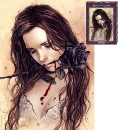 Heye Puzzle 1000 elementów Ciemna Róża