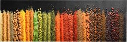  vidaXL Kuchenny dywanik podłogowy Spice, 60x300 cm