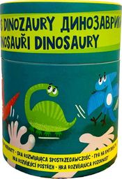  Dodo Dodo Gra na spostrzegawczość Dinozaury