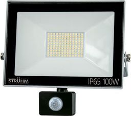 Naświetlacz IDEUS Naświetlacz LED z czujnikiem ruchu KROMA LED S 100W GREY 6500K IP65 IDEUS 7086