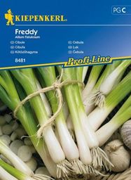  Kiepenkerl Cebula Freddy Allium fistulosum