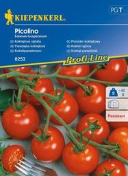 Kiepenkerl Pomidor koktajlowy Picolino F1 Solanum lycopersicum