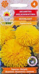 Toraf TORAF KWIATY Aksamikta wielkokwiatowa Moonlight 1g